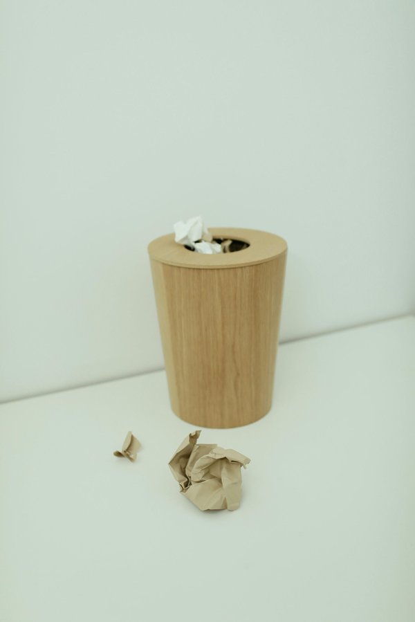 Poubelle en bois moderne : élégance et praticité à petit prix